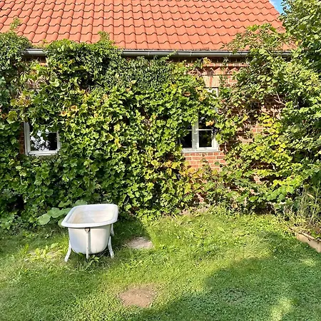 Apartment Mecklenbü Mit Teich, Kamin, Sauna Und Hotpott