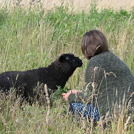 Mecklenbü Mit Teich, Kamin, Sauna Und Hotpott Dargun
