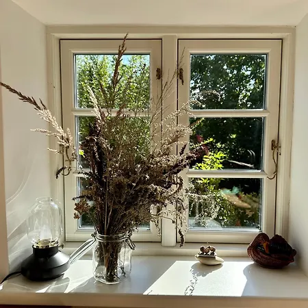 Apartment Mecklenbü Mit Teich, Kamin, Sauna Und Hotpott