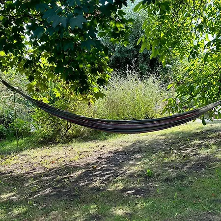 Mecklenbü Mit Teich, Kamin, Sauna Und Hotpott *