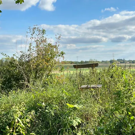 Mecklenbue Mit Teich, Kamin, Sauna Und Hotpott